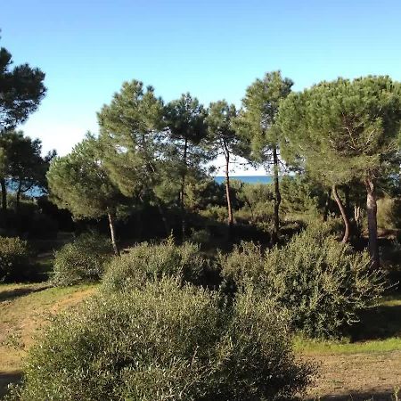 Tenuta le marze Castiglione della Pescaia Exterior foto