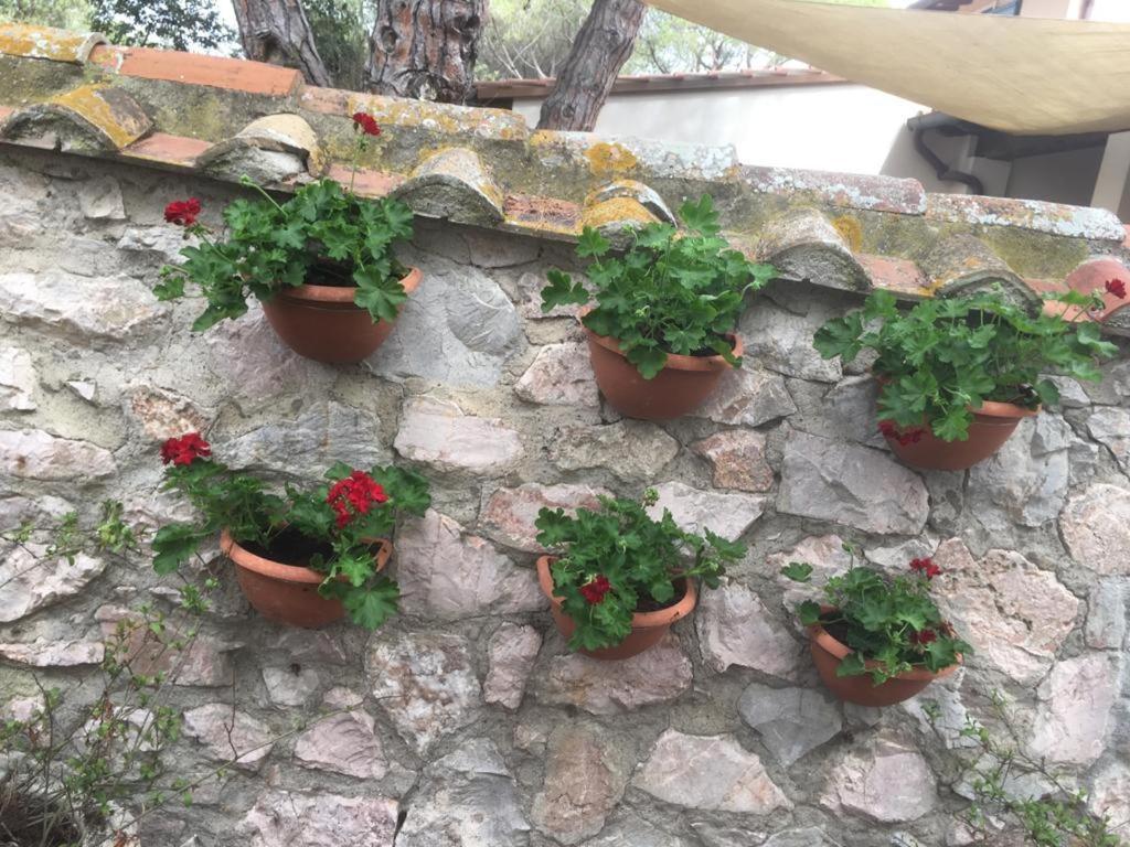 Tenuta le marze Castiglione della Pescaia Exterior foto