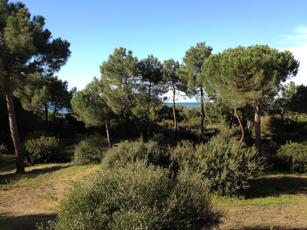 Tenuta le marze Castiglione della Pescaia Exterior foto