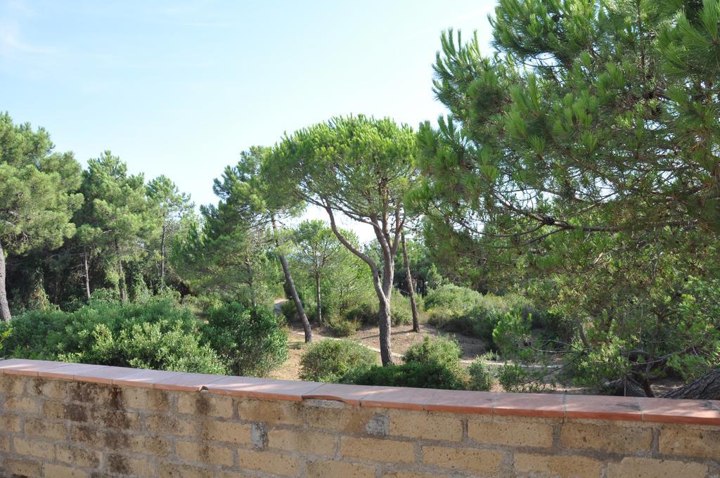 Tenuta le marze Castiglione della Pescaia Exterior foto